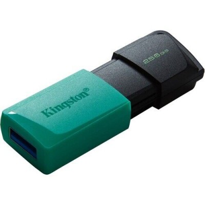 Kingston 256Gb USB 3.2 Exodia M