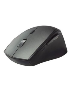 Ewent Rat? dual BT/Wless 2