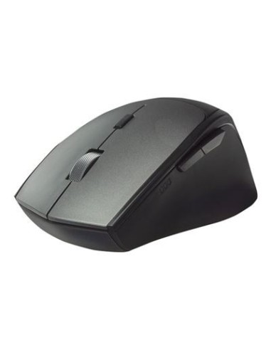 Ewent Rat? dual BT/Wless