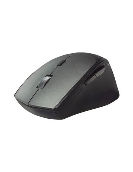 Ewent Rat? dual BT/Wless