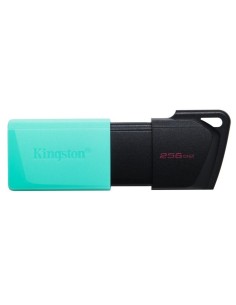 Kingston 256Gb USB 3.2 Exodia M