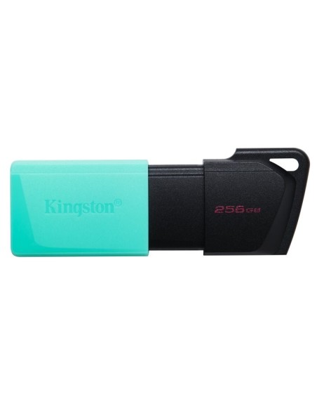 Kingston 256Gb USB 3.2 Exodia M